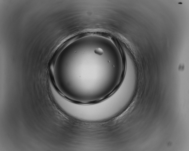 X0000098071361200804041115