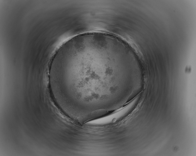X0000098071363200804041115