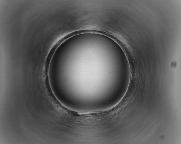 X0000098071364200804041115