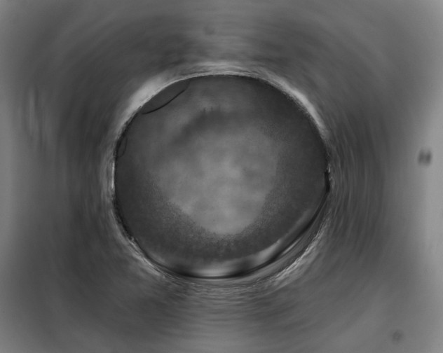 X0000098071365200804041115