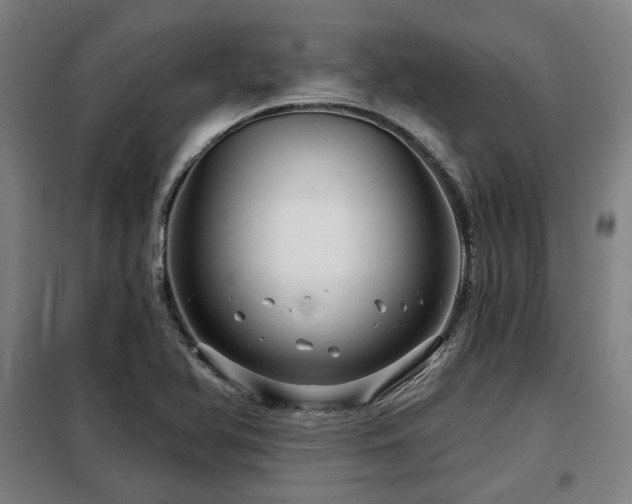 X0000098071366200804041115