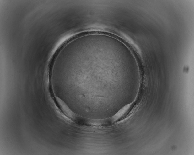 X0000098071368200804041115