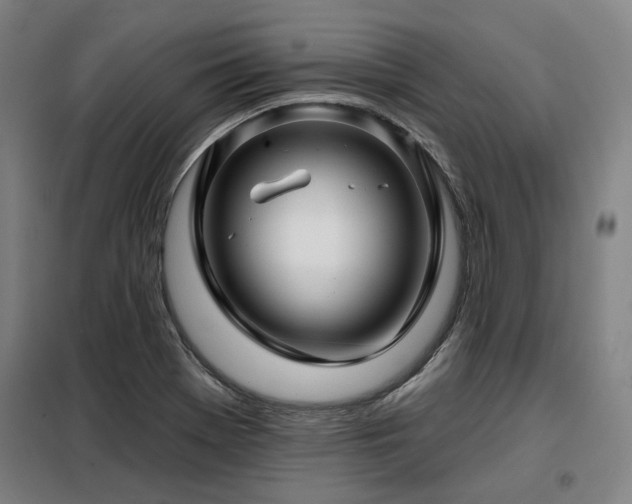 X0000098071369200804041115