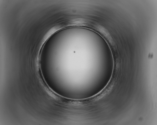 X0000098071370200804041115
