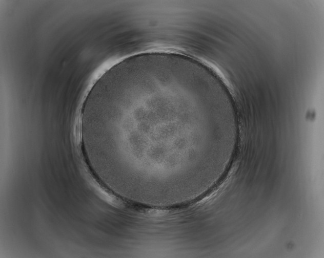 X0000098071371200804041115