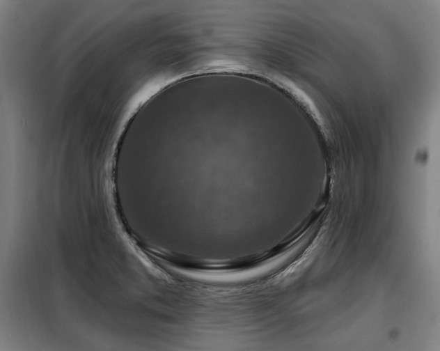 X0000098071373200804041115