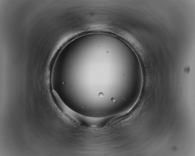 X0000098071376200804041115