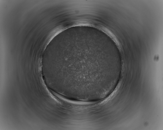 X0000098071377200804041115