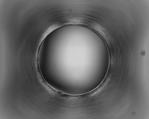 X0000098071378200804041115