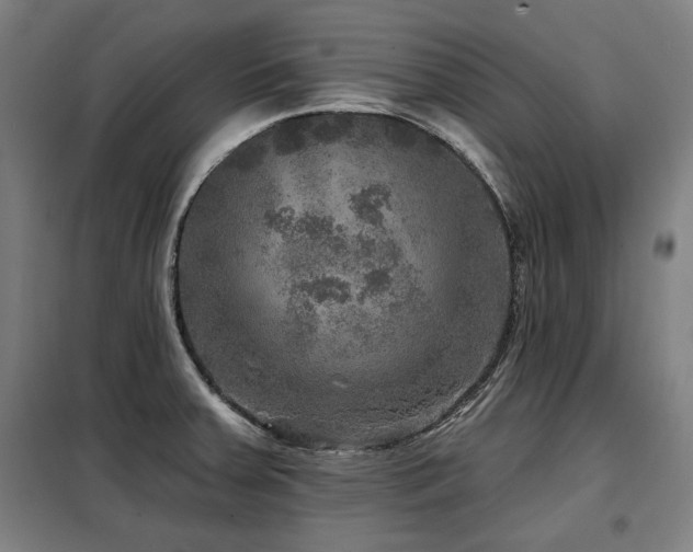 X0000098071379200804041115