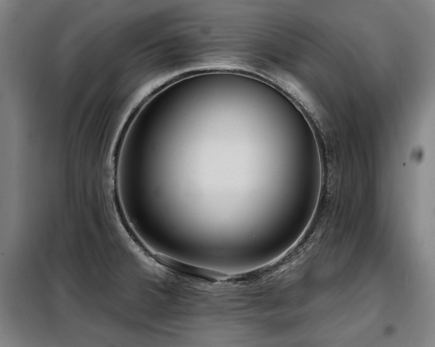 X0000098071380200804041115