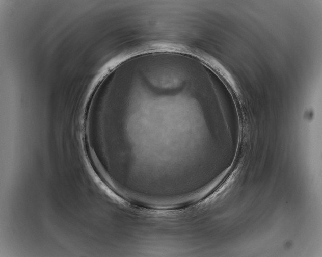 X0000098071381200804041115