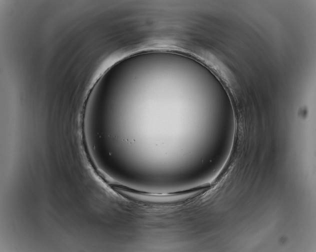 X0000098071382200804041115