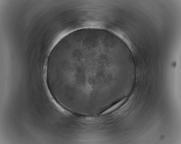 X0000098071383200804041115