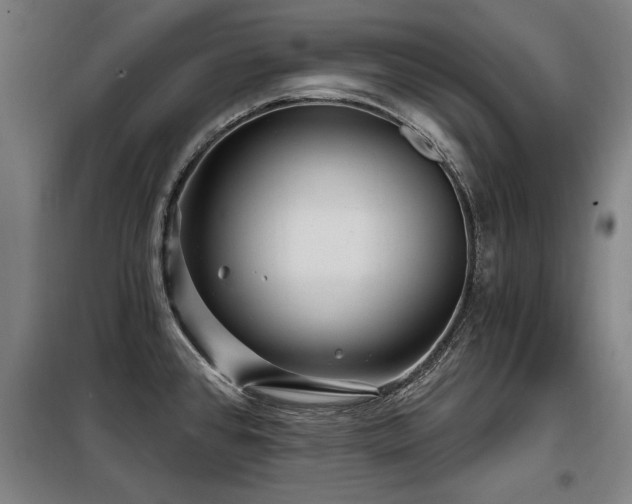 X0000098071384200804041115