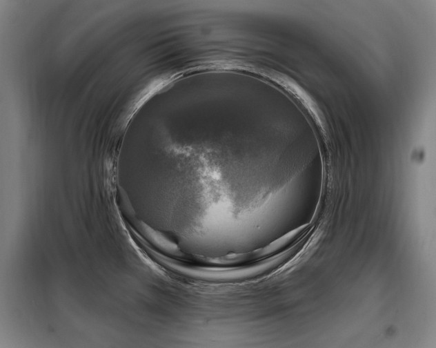 X0000098071385200804041115