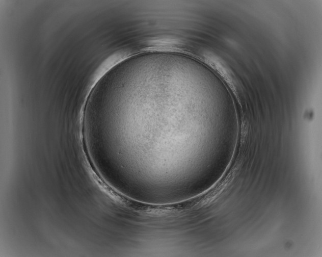 X0000098071386200804041115