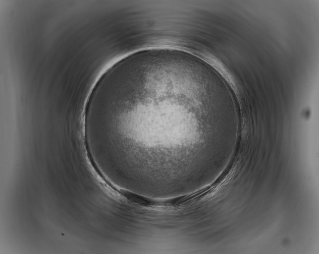 X0000098071388200804041115