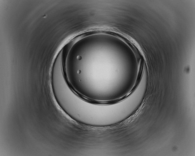X0000098071389200804041115