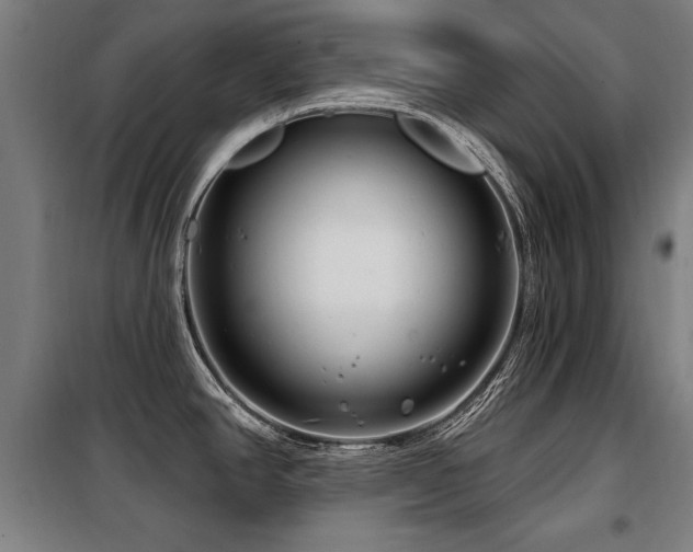 X0000098071390200804041115