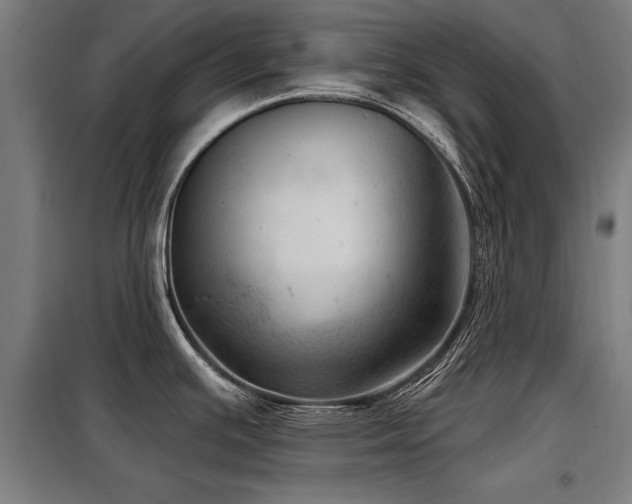 X0000098071391200804041115