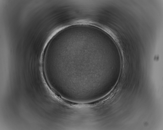 X0000098071392200804041115