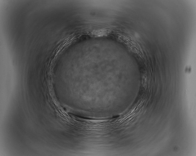 X0000098071393200804041114
