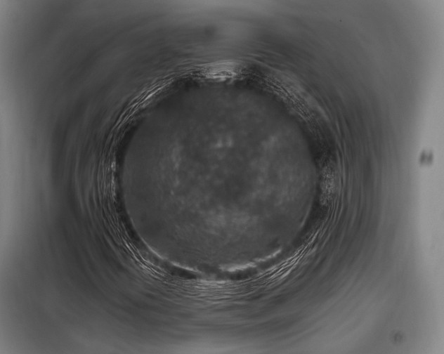 X0000098071394200804041114