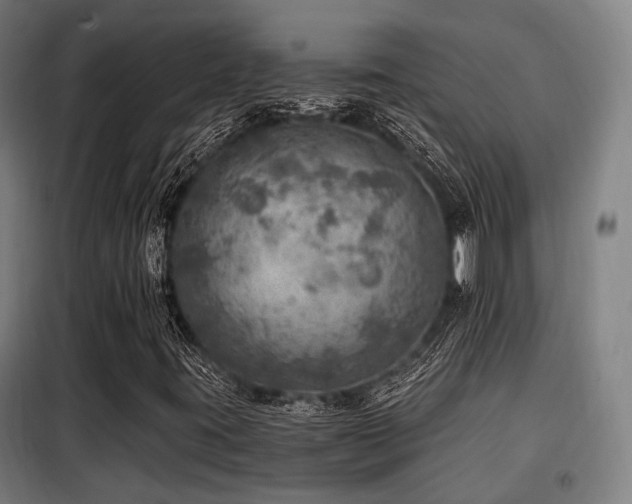 X0000098071395200804041114