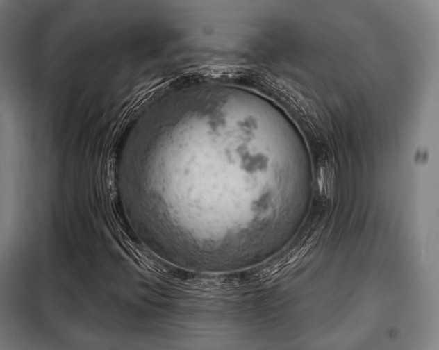 X0000098071396200804041114