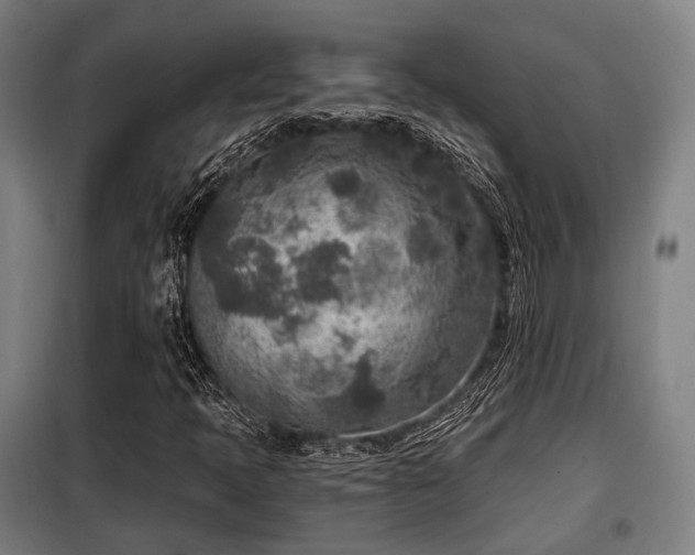 X0000098071397200804041114