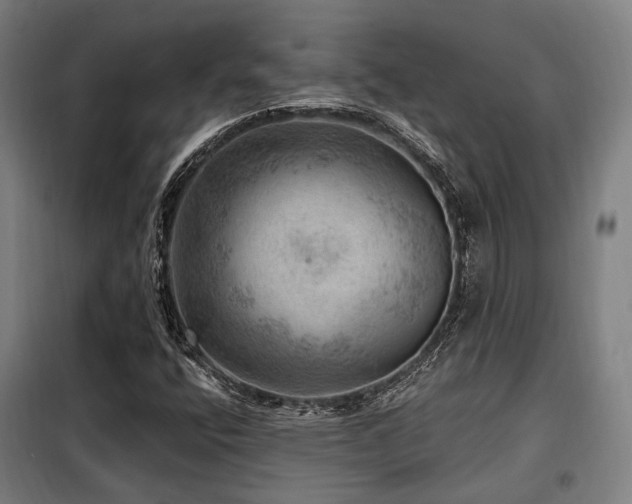 X0000098071400200804041114