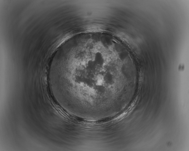 X0000098071401200804041114