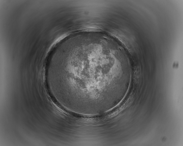 X0000098071402200804041114