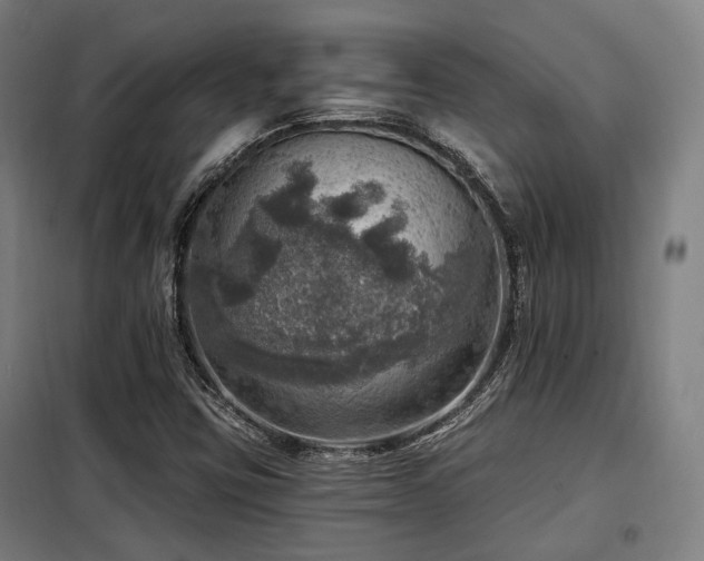 X0000098071403200804041115