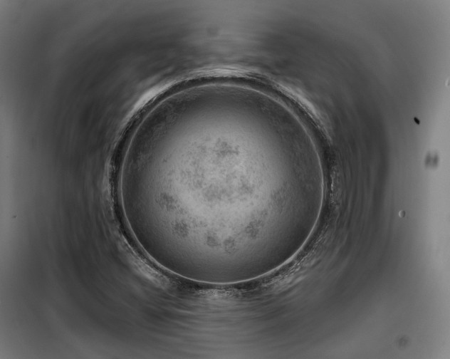 X0000098071404200804041115