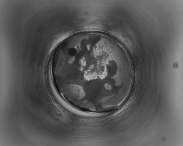 X0000098071405200804041115