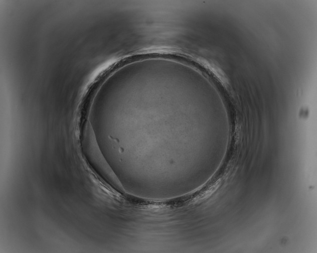 X0000098071406200804041115