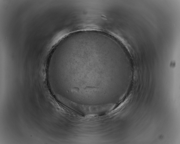 X0000098071407200804041115