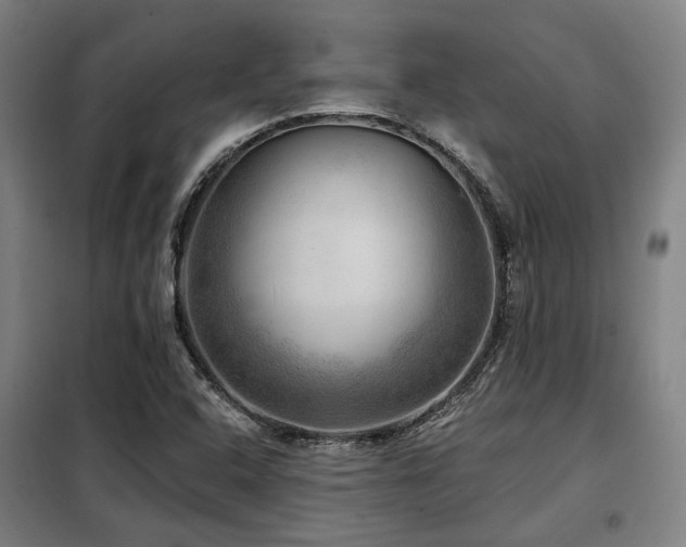 X0000098071408200804041115