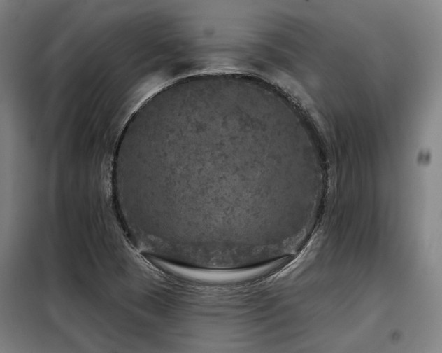 X0000098071409200804041115
