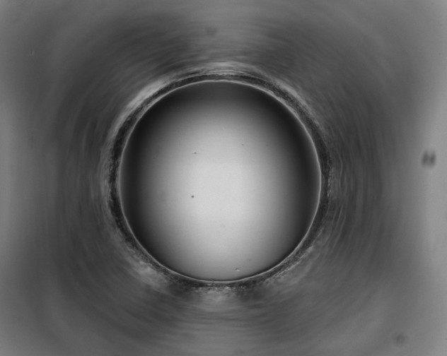 X0000098071410200804041115