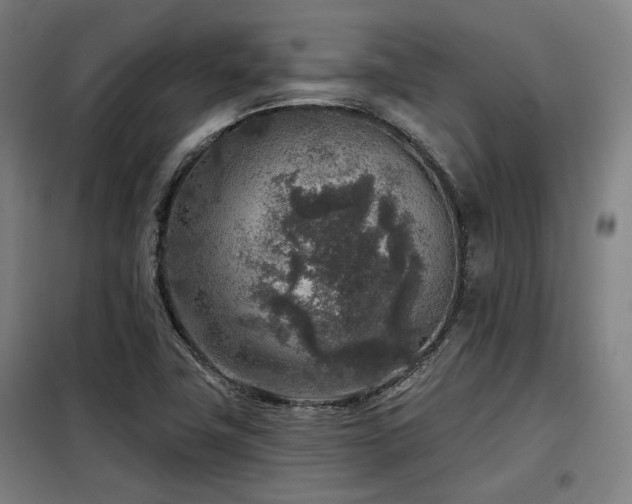X0000098071411200804041115
