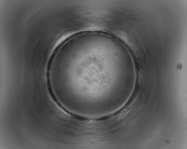 X0000098071412200804041115