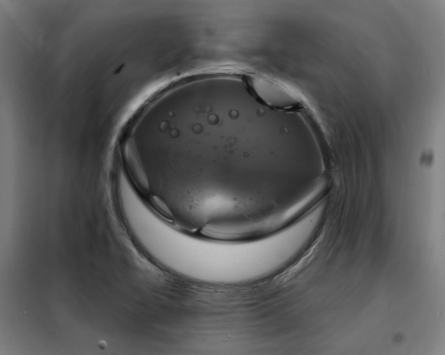 X0000098071414200804041115