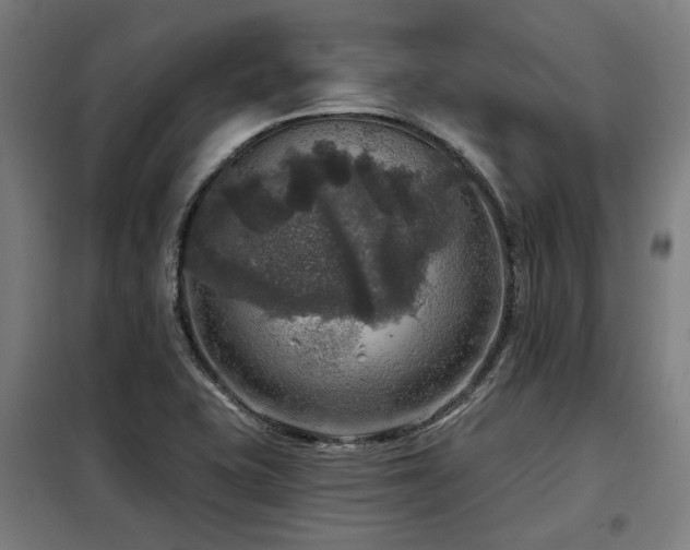 X0000098071415200804041115