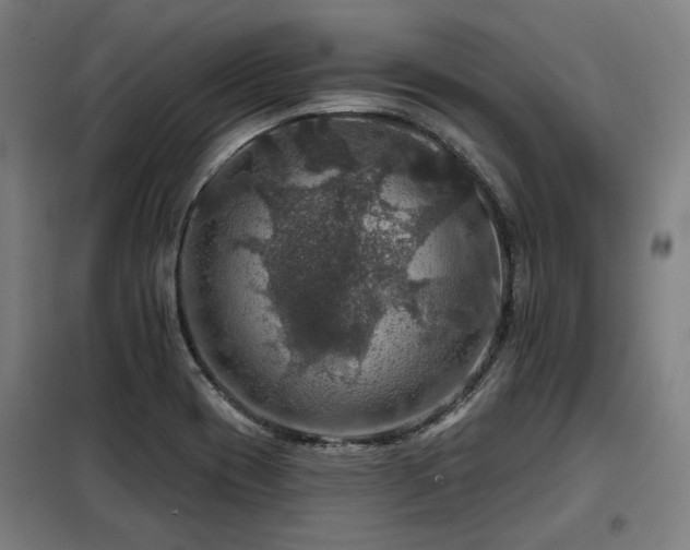X0000098071417200804041115