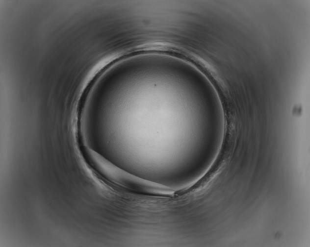 X0000098071418200804041115