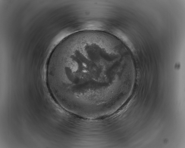 X0000098071419200804041115