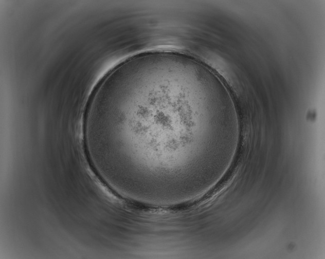 X0000098071420200804041115